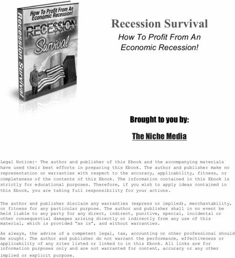 Product picture Recession Survival Tactics